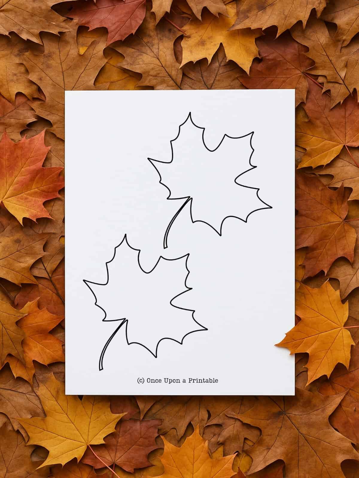 Two leaf template printable, maple leaves.