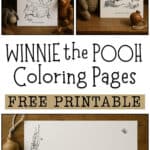 Classic Winnie the Pooh illustrations by E. H. Shepard coloring pages.