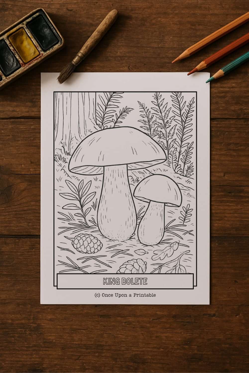 King Bolete mushroom coloring page in the forest. 