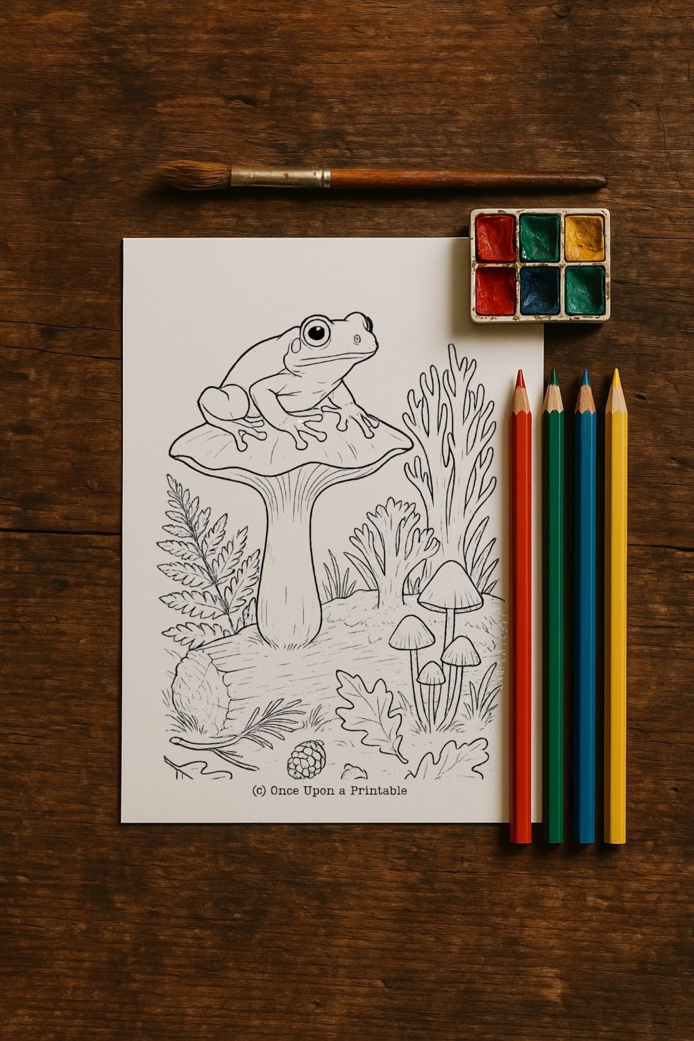 Mushroom and frog coloring page.