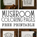 mushroom coloring pages collection.