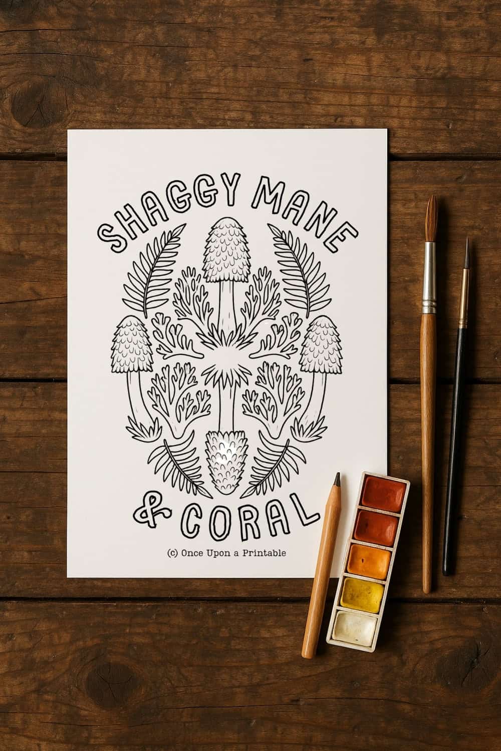 Mushroom mandala with Shaggy Mane and Coral mushrooms. 