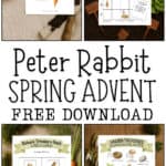 Peter Rabbit advent calendar for spring.
