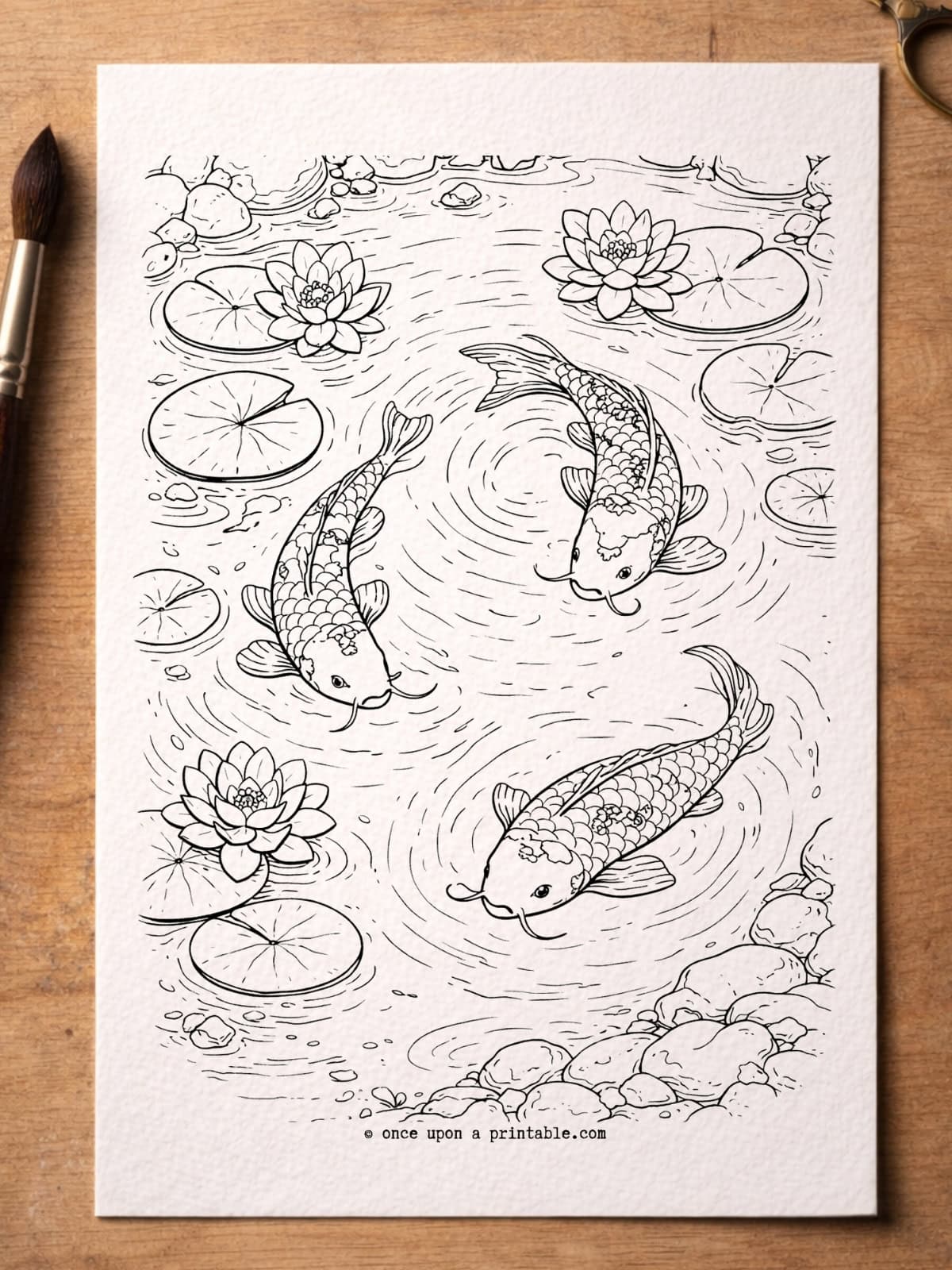 Chinese new year coloring page with a koi pond. 