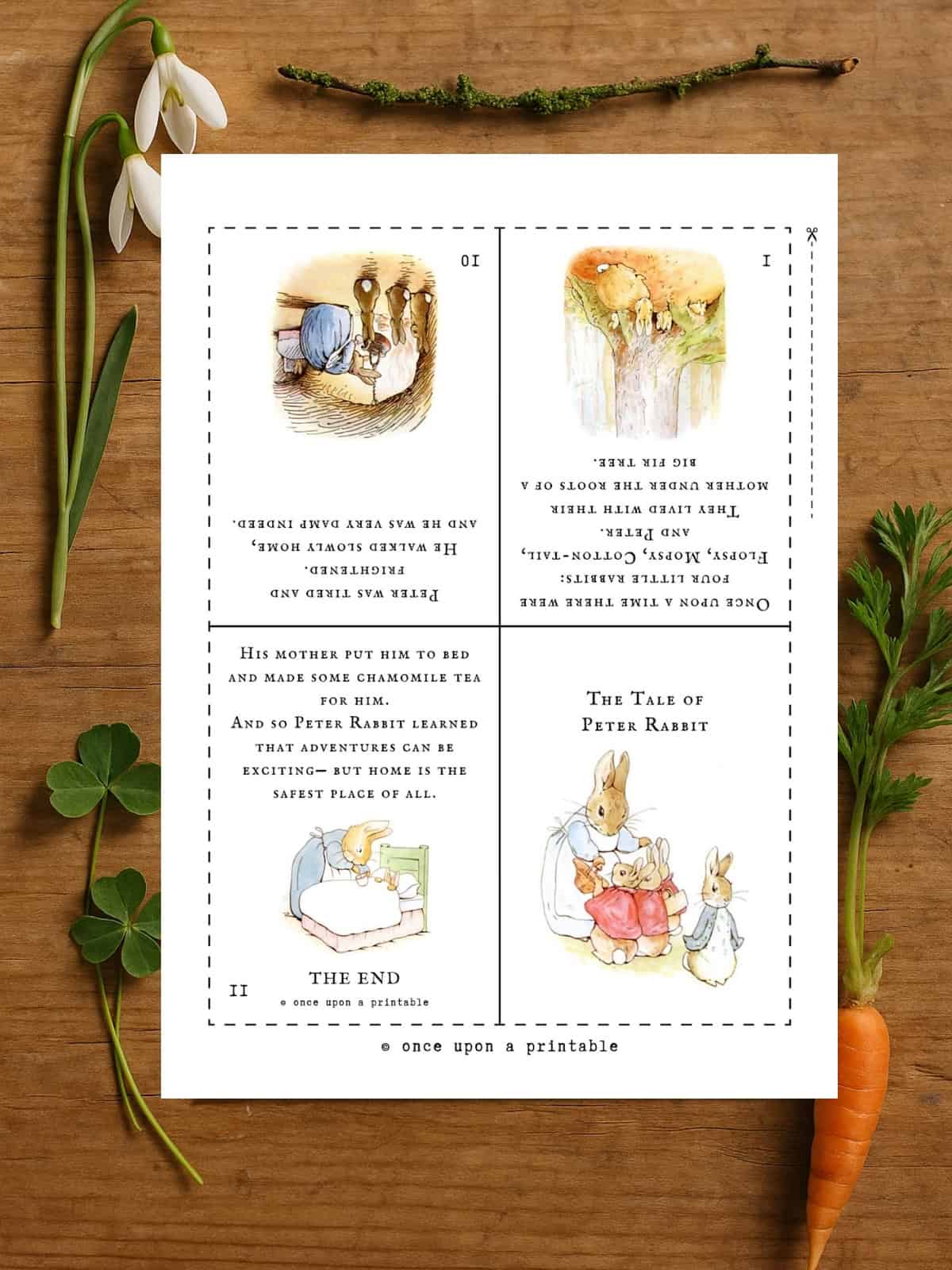 Peter Rabbit mini booklet.