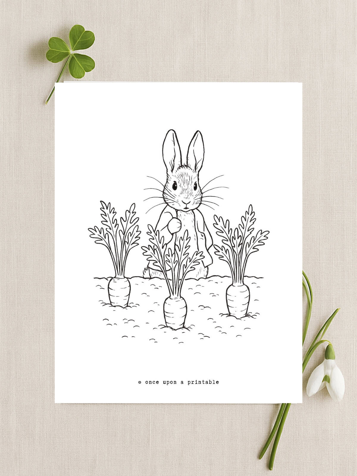Peter Rabbit spring coloring pages.