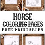 Horse coloring pages for kids.