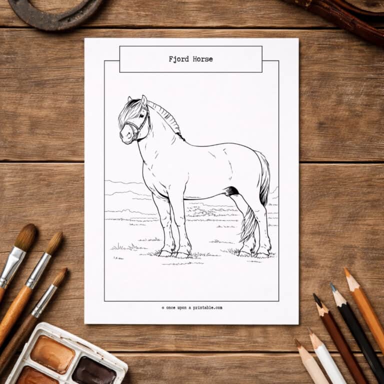 Horse coloring page with a Fjord horse.
