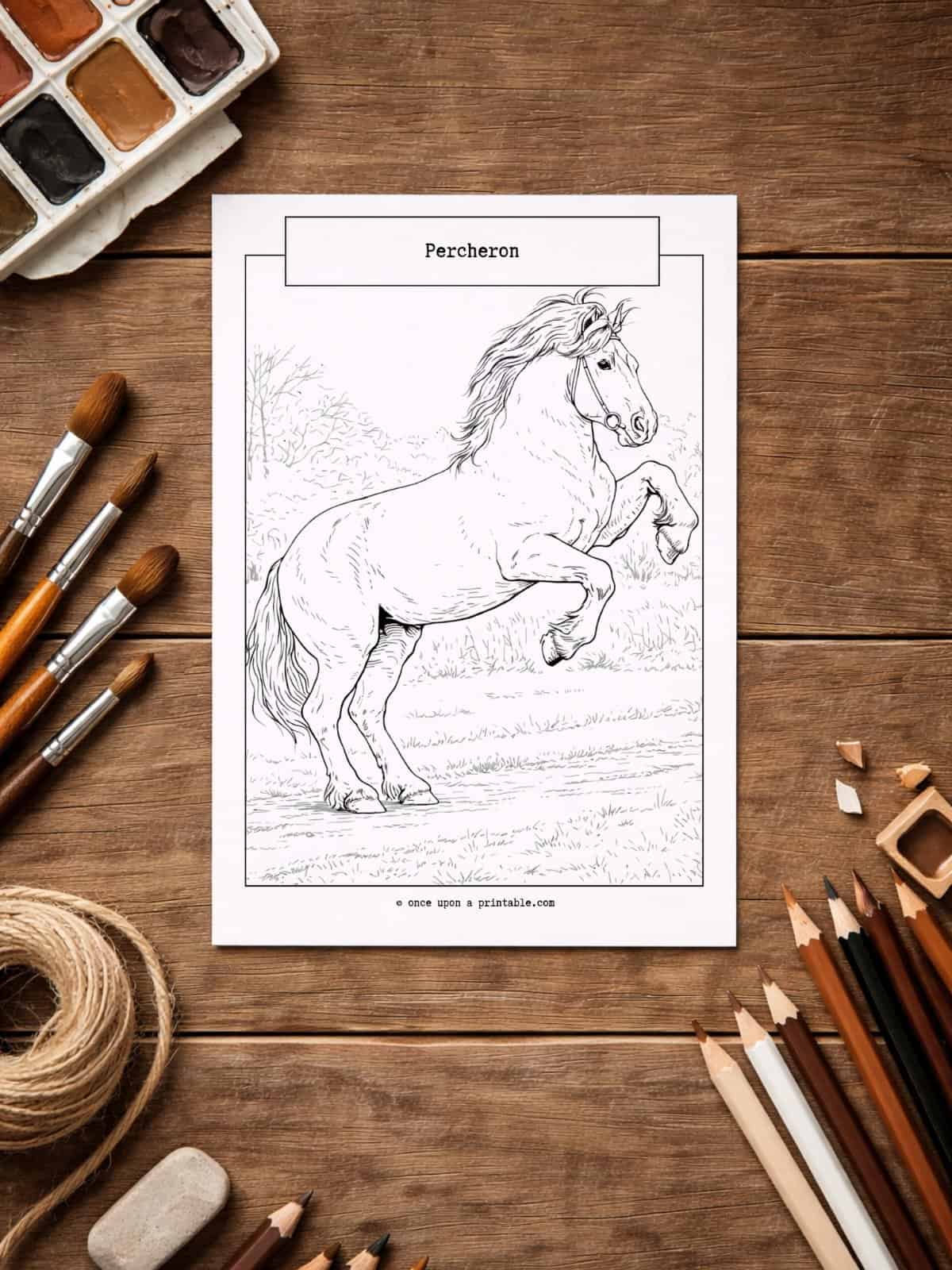 Percheron horse coloring page for kids. 