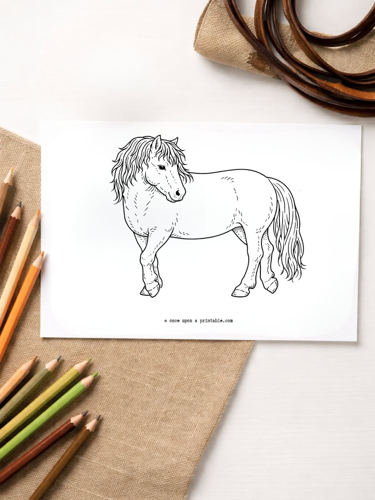 Simple horse coloring page for little kids. 