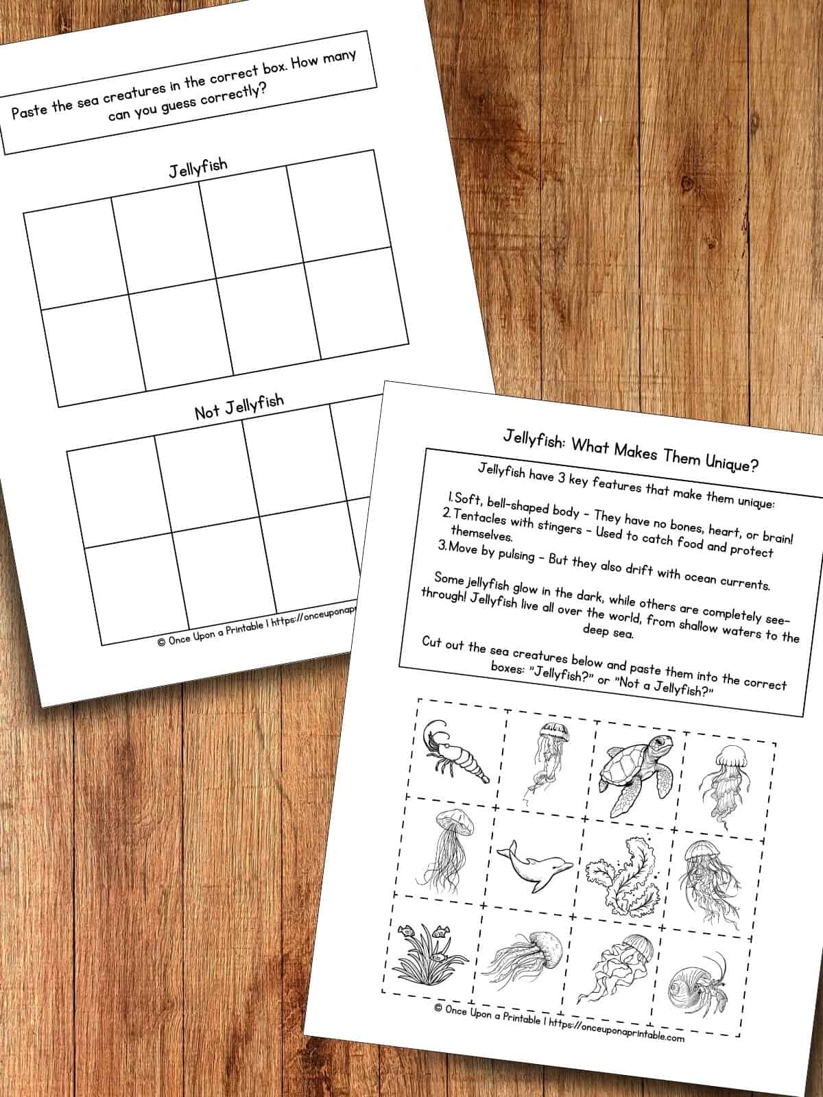 What makes jellyfish unique?