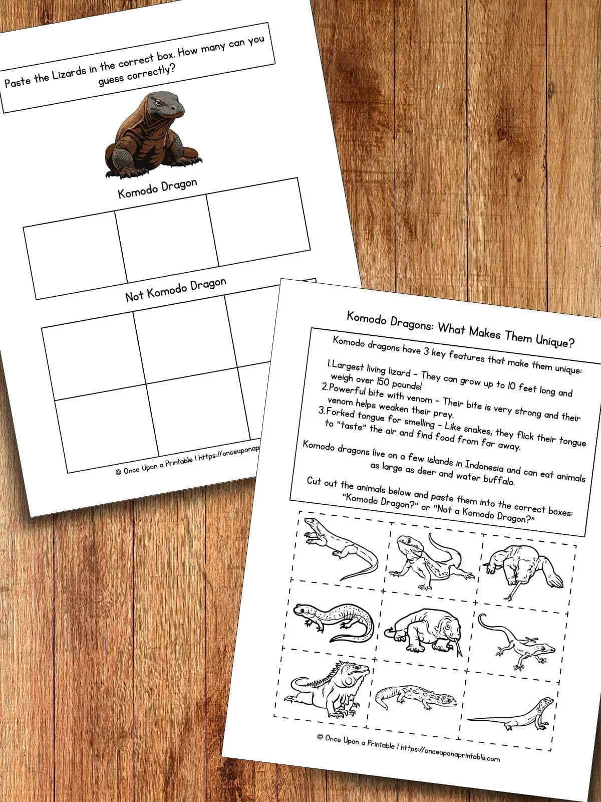 What makes Komodo Dragon's unique?