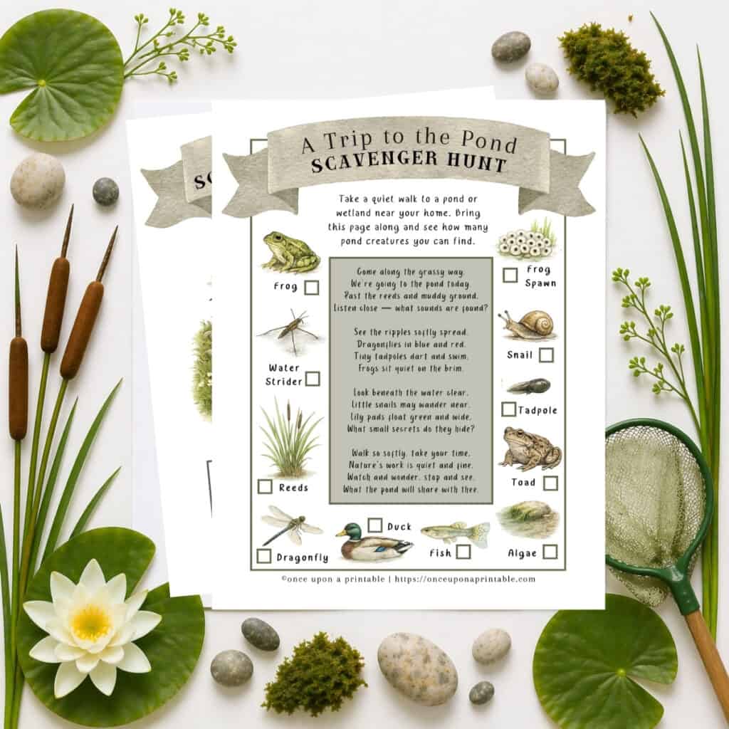 Pond printables for kids