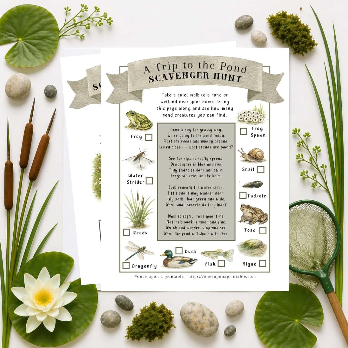 Pond printables for kids