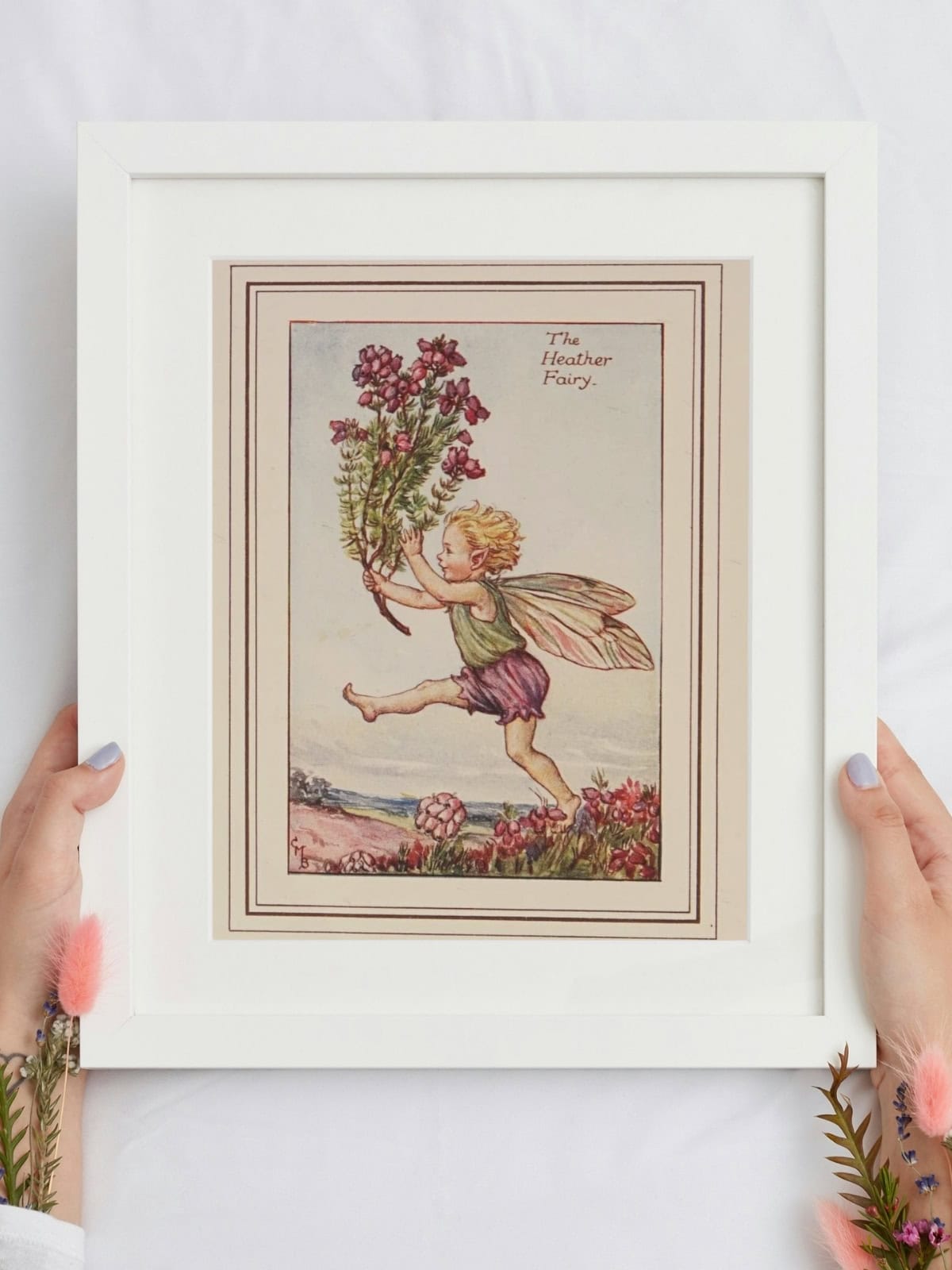 Flower fairies of summer, Heather fairy.