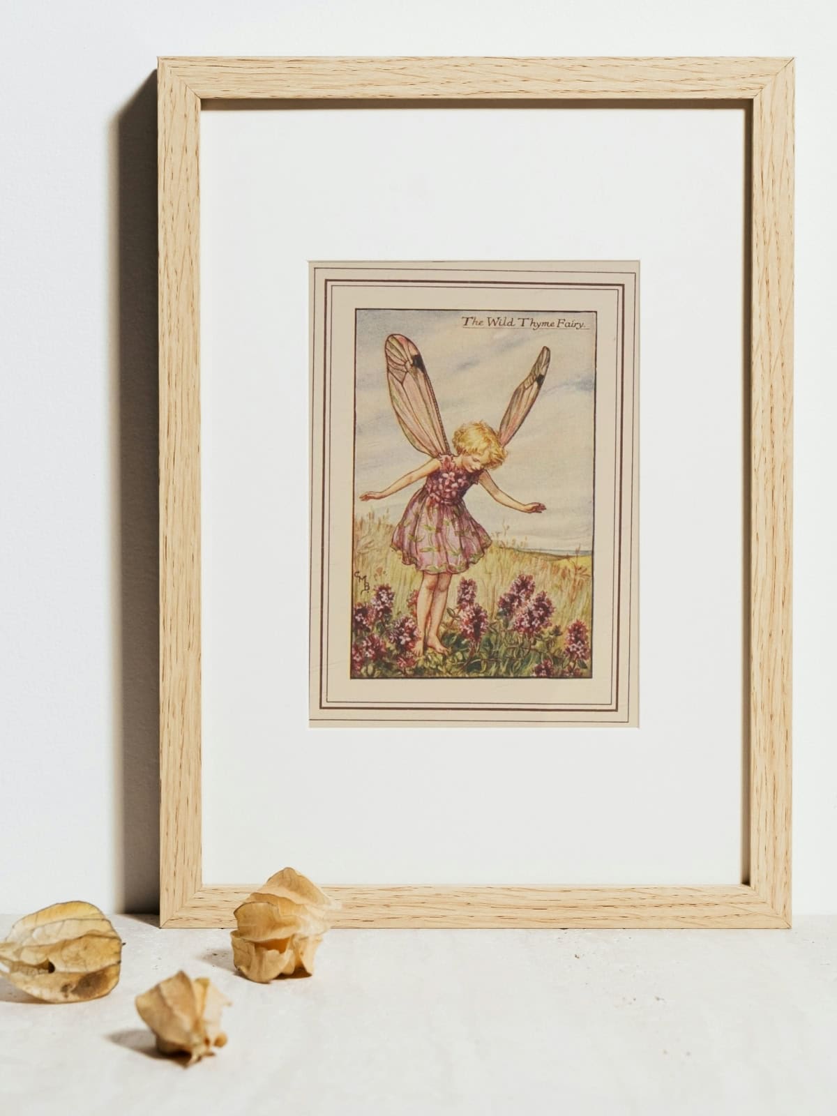 Flower fairies of Summer, Wild Thyme.
