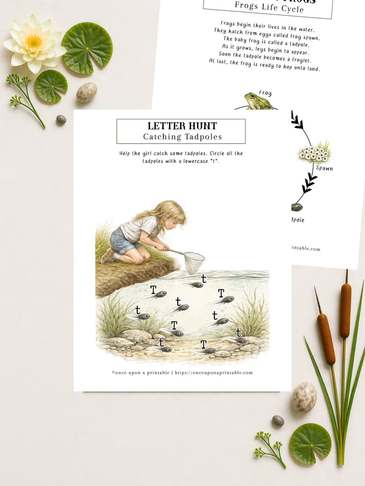 Pond printables, letter hunt catching tadpoles activity.