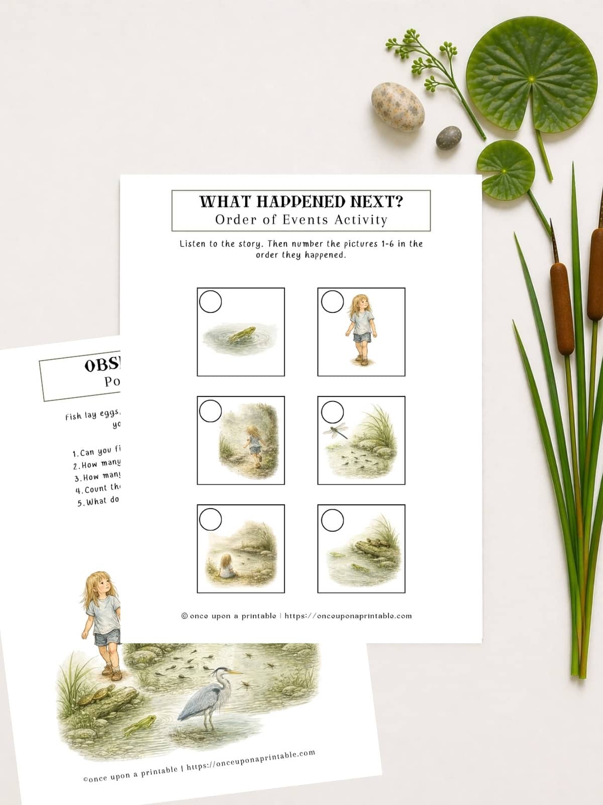 Pond Printables order of events activity.