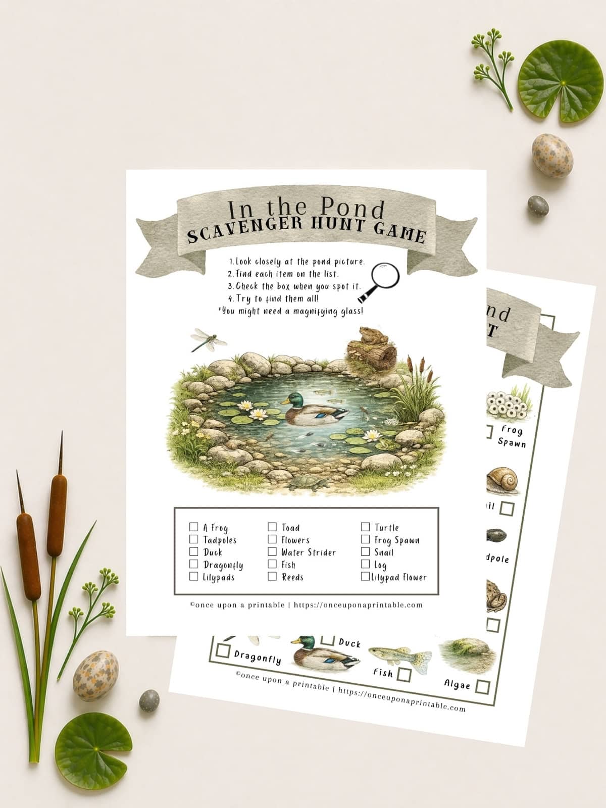 Pond printables, a pond life scavenger hunt game.