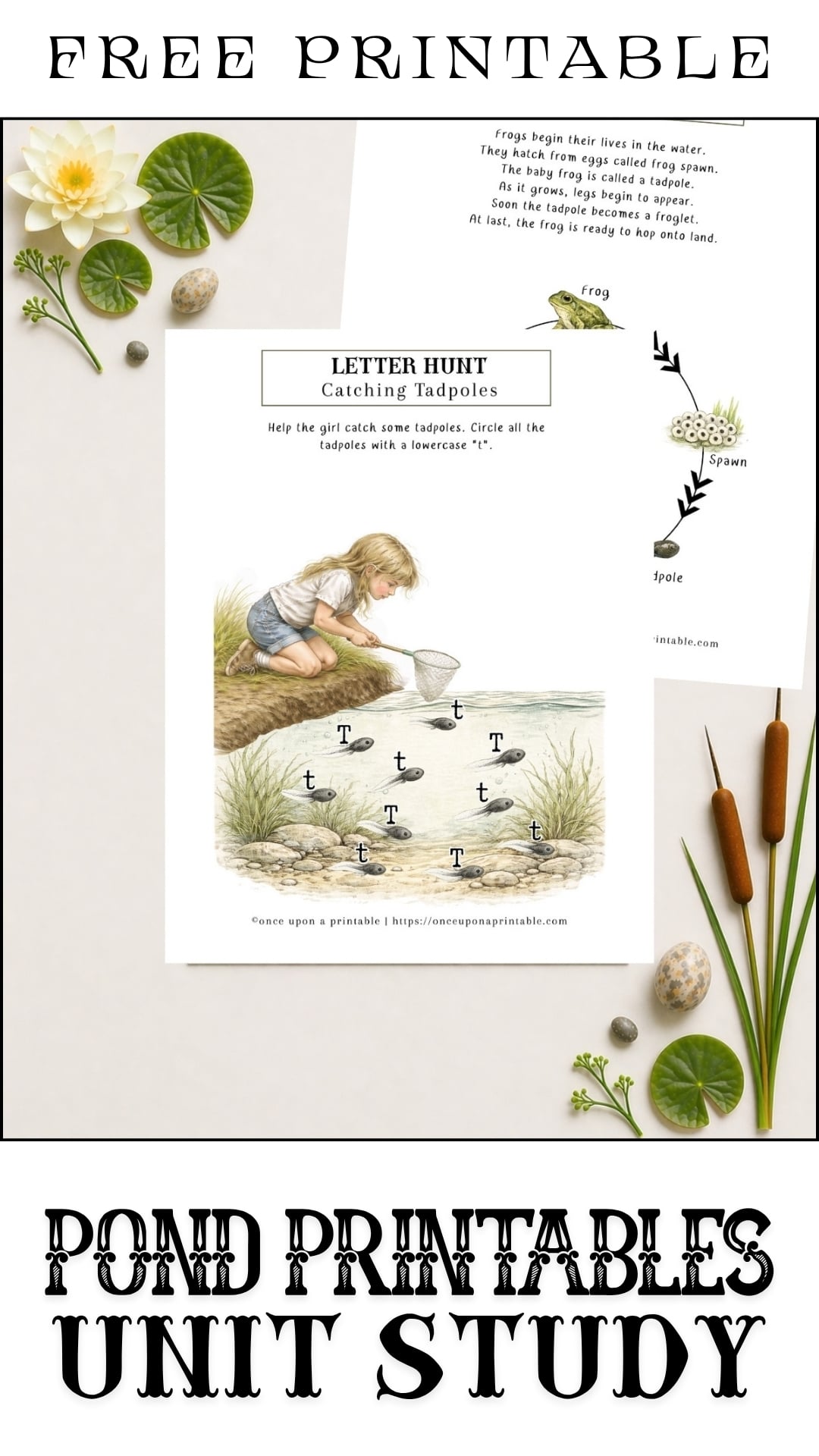 Pond printables unit study for kids.