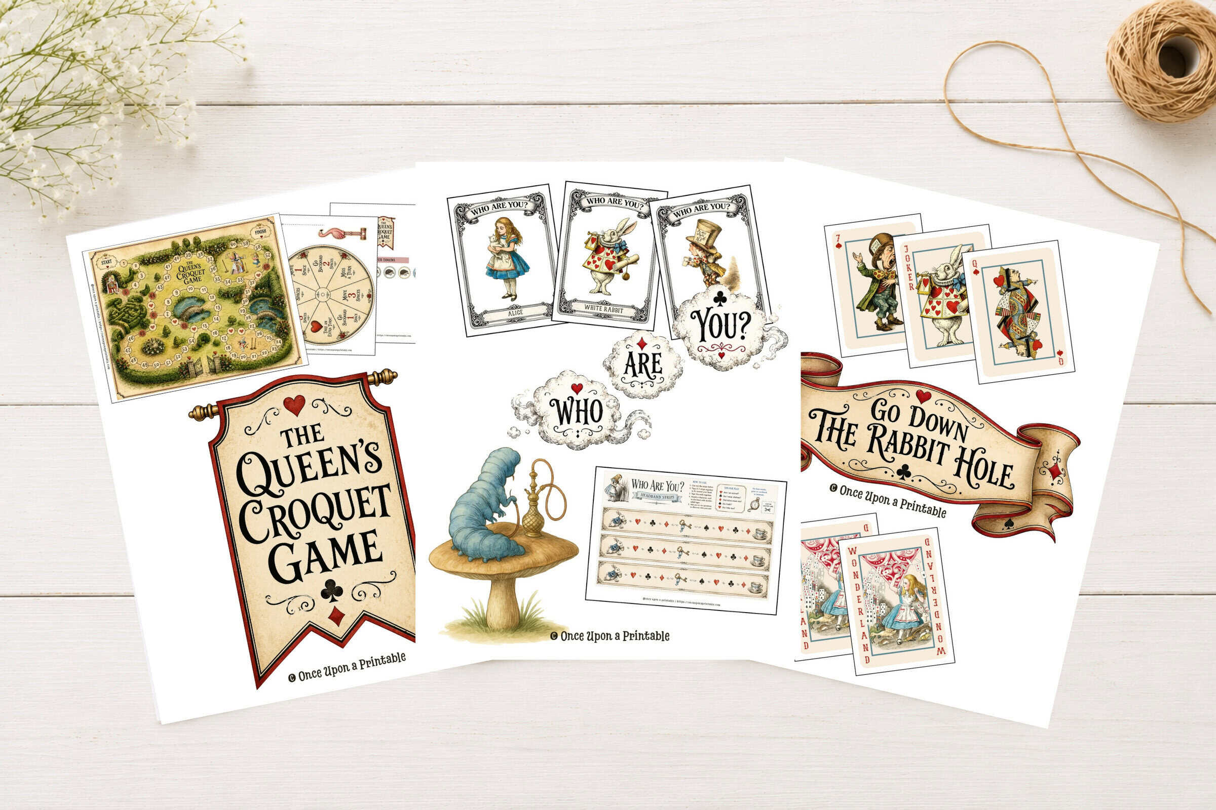 Alice's Adventures in Wonderland storybook guide worksheets.