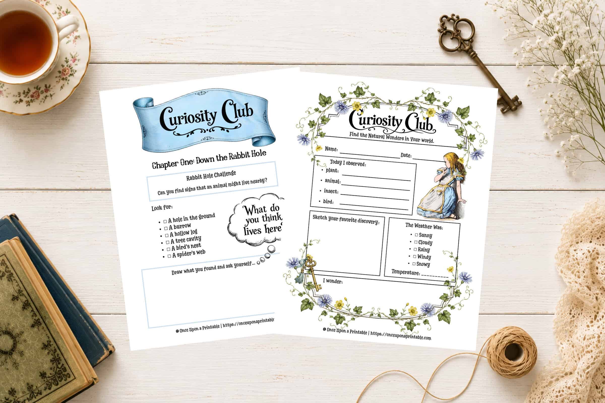 Alice's Adventures in Wonderland storybook guide worksheets.