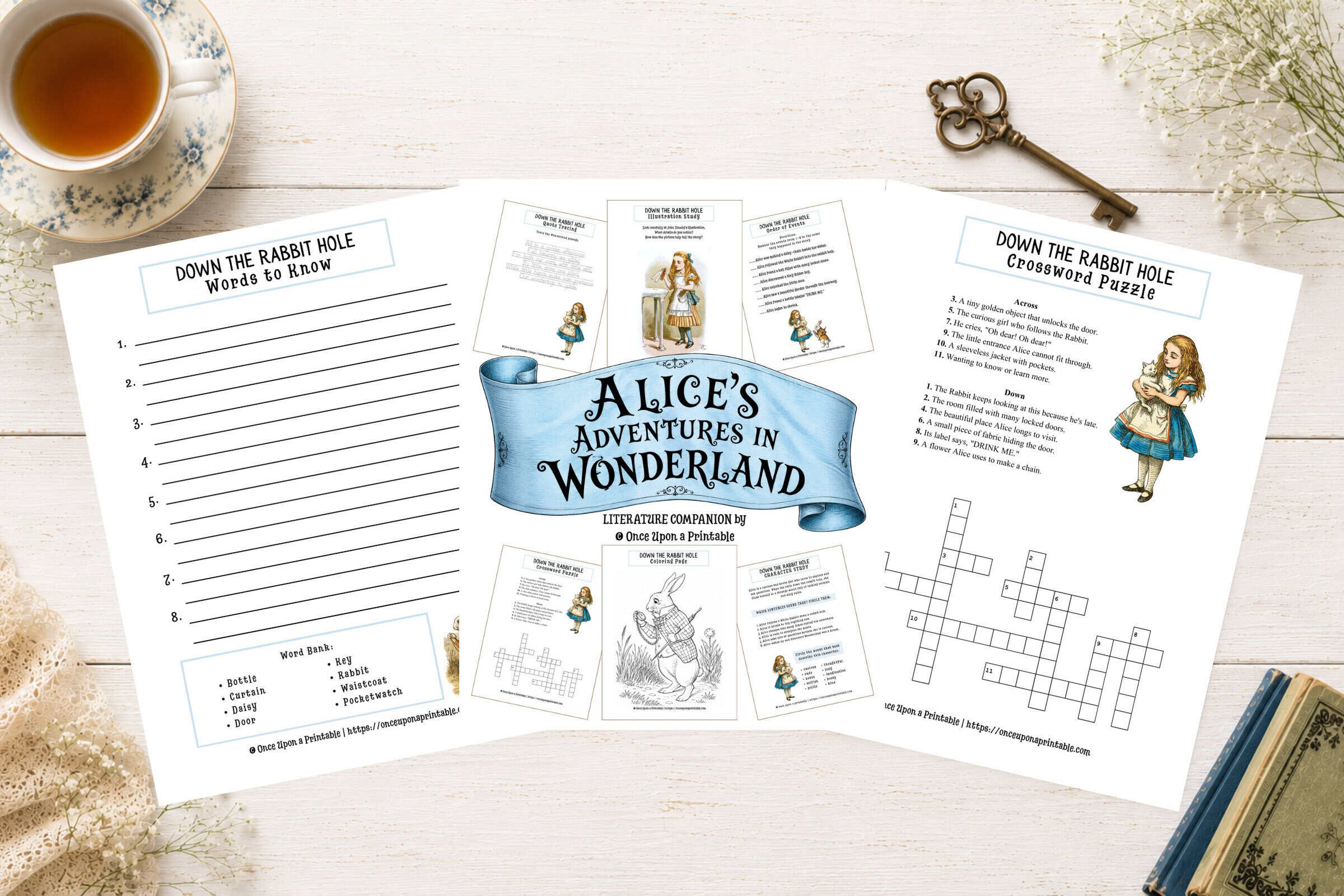 Alice's Adventures in Wonderland Early Learner's worksheets.