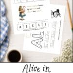 Alice's Adventures in Wonderland storybook guide worksheets.